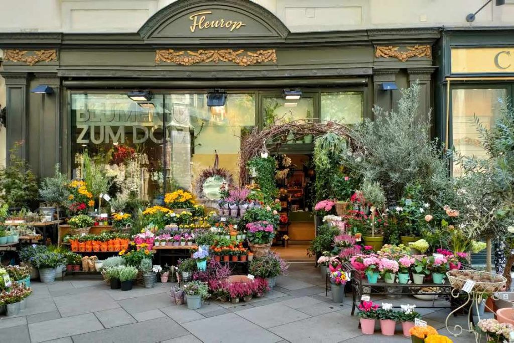 vitrine fleuriste